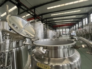 100L Fermentation Tank