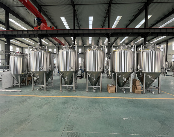 1000L Conical Fermenter 1000L Conical Fermenter