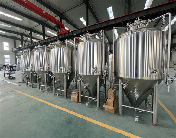 1000L Conical Fermenter 1000L Conical Fermenter