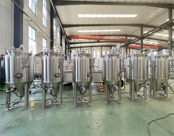 100L Fermentation Tank 100L Fermentation Tank