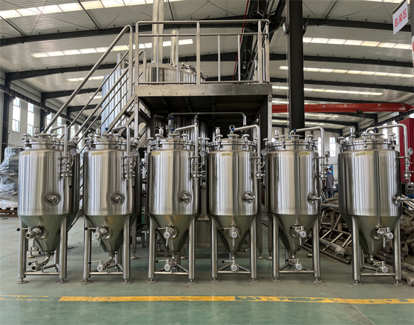 100L Fermentation Tank 100L Fermentation Tank