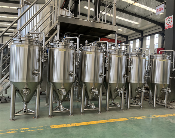 100L Fermentation Tank 100L Fermentation Tank