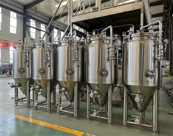 100L Fermentation Tank 100L Fermentation Tank