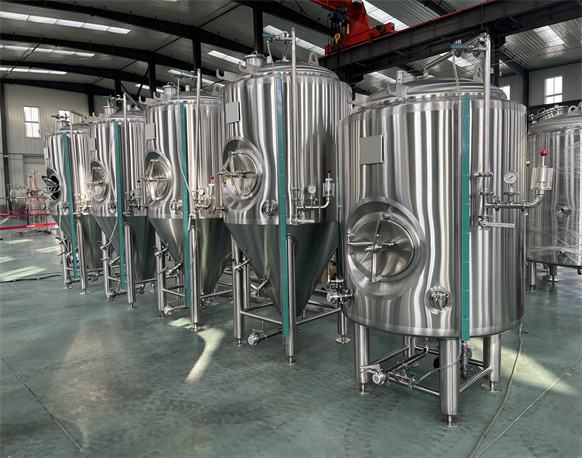 7BBL Bright Beer Tank 7BBL Bright Beer Tank