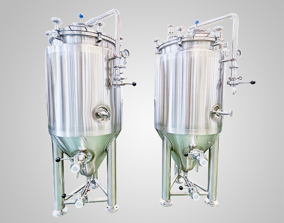 Fermenteur de bière 100L