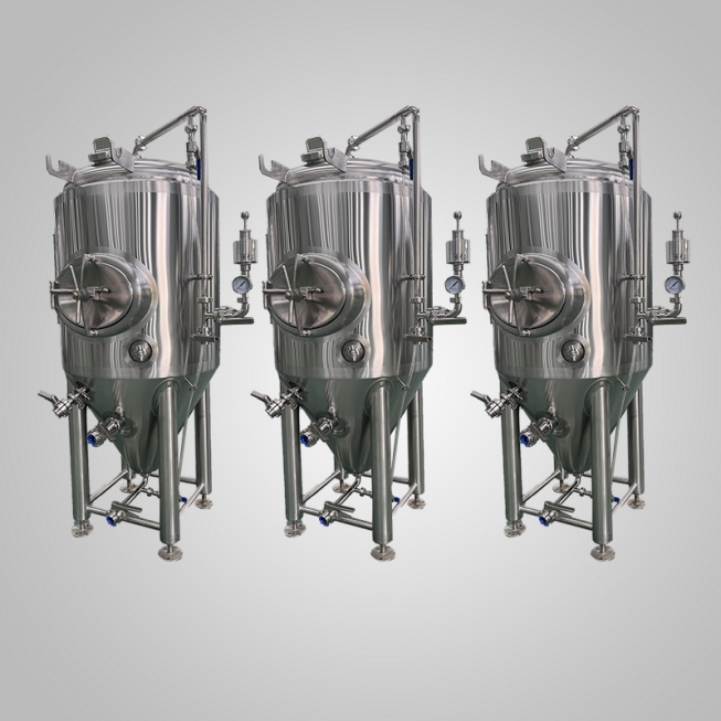 Cuve de fermentation de trou d'homme latéral 300L