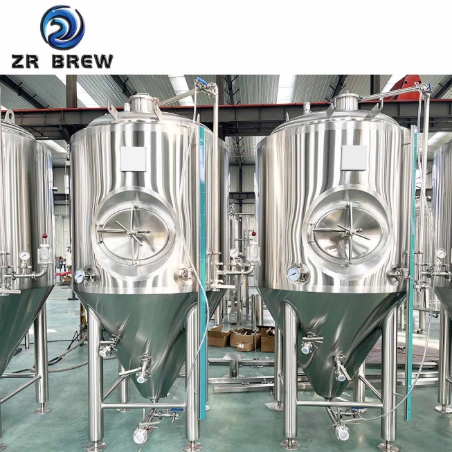 Fermenteur de trou d'homme latéral 7BBL Fermenteur de trou d'homme latéral 7BBL